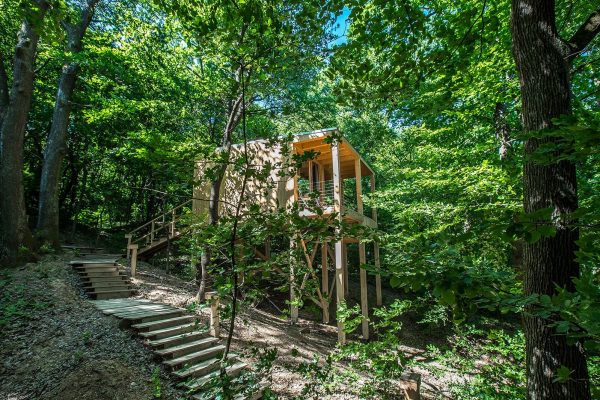 TreeHouses-Noszvaj-3